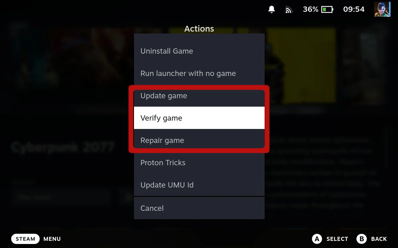 Update, Repair and Verify options