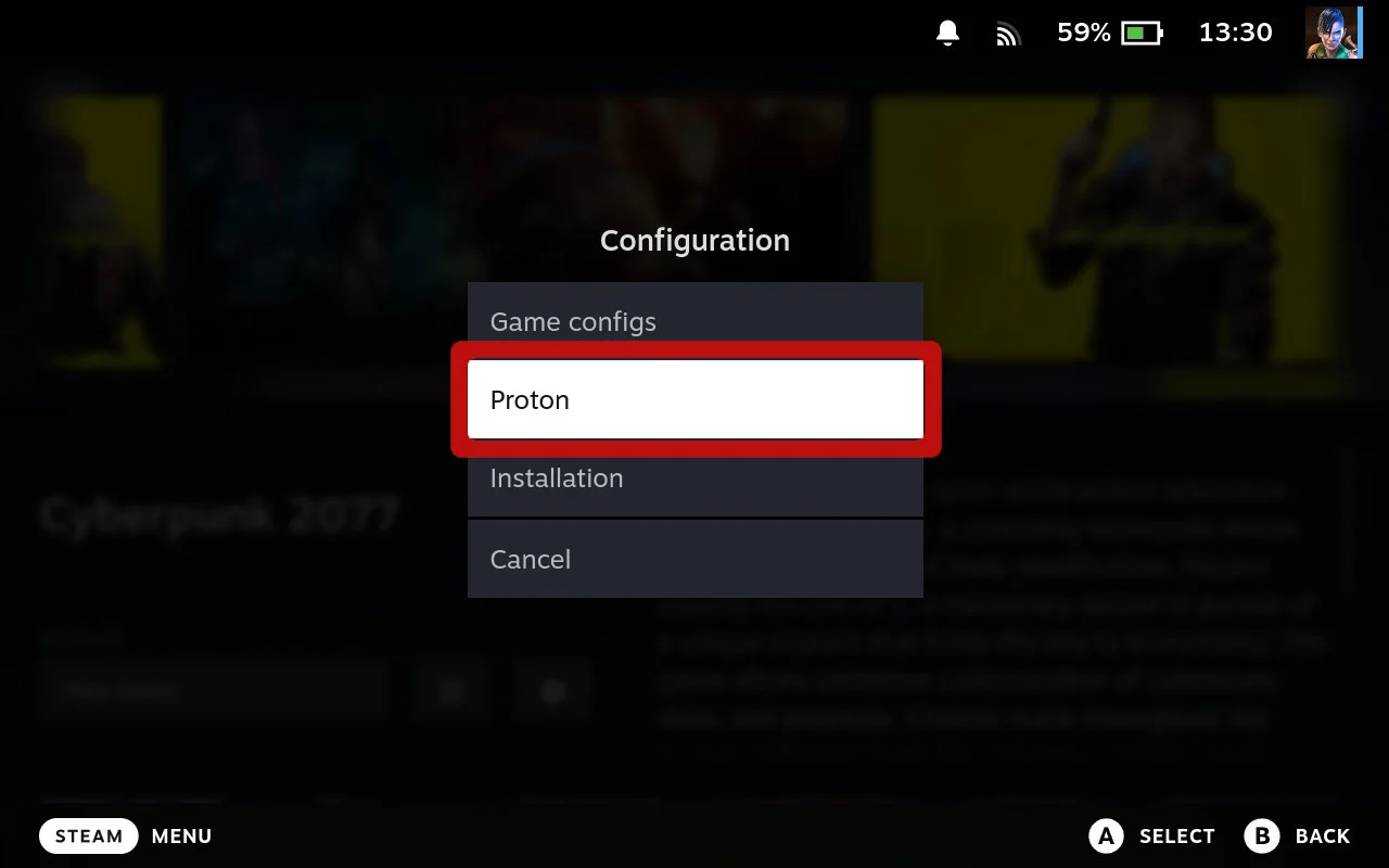 Proton Configs option